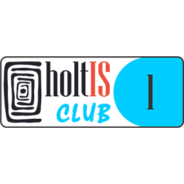 Înființarea Clubului Tinerilor HoltIS Nr.1, Berești-Tazlău