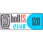 Înființarea clubului HoltIS nr. 120, Lugoj