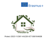 Update Proiect Hedera
