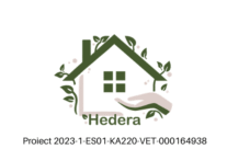 Update Proiect Hedera